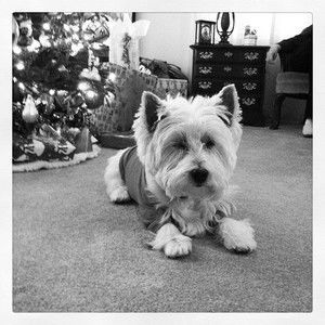 Meet your Posher, Mandy